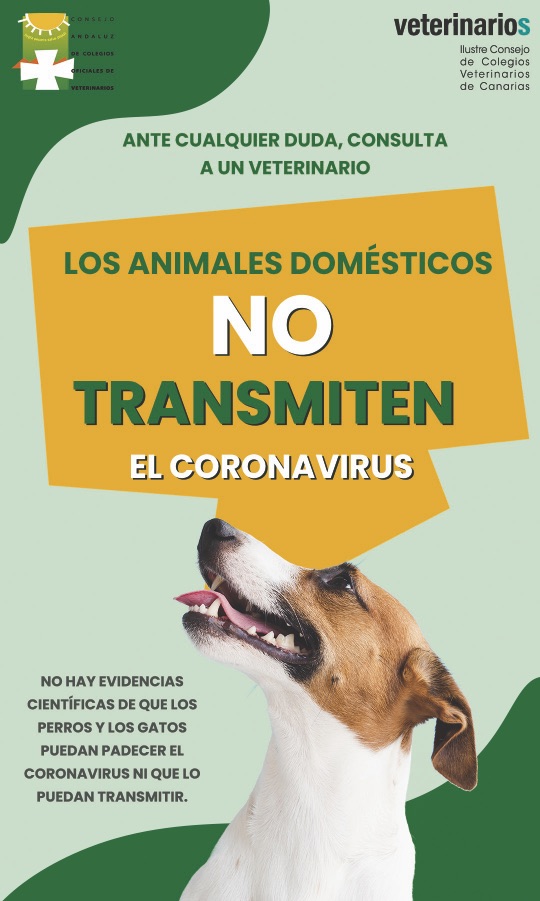 cartel mascotas coronavirus